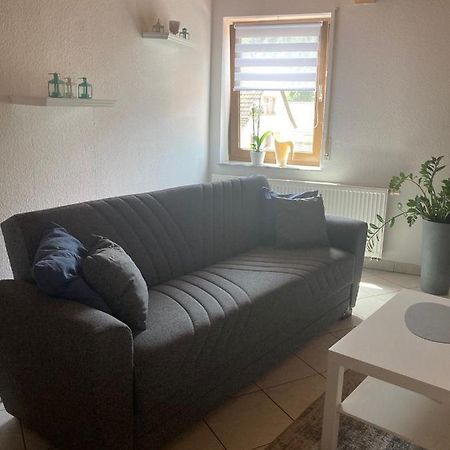 Appartamento Dz Im Haus Maja Holzkirchen  Esterno foto
